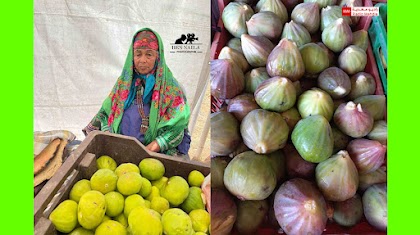 المهدية : إنتاج وفير من البيثر و الكرموس